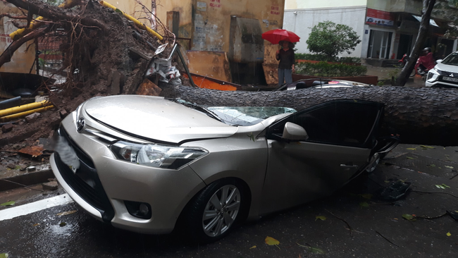 Sau cơn mưa lớn bất ngờ ở Hà Nội, chiếc ô tô bị cây đổ đè bẹp đến biến dạng - Ảnh 6.