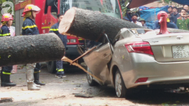 Hà Nội: Clip &quot;giải cứu&quot; chiếc xe ô tô bị cây cổ thụ bật gốc đè bẹp dúm - Ảnh 7.
