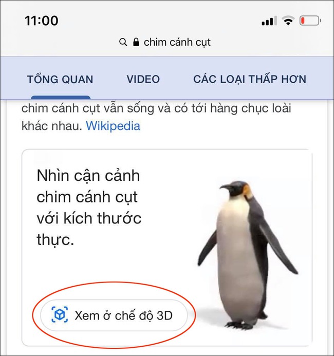 Trò chơi mới cho trẻ mùa dịch: Ở nhà vẫn chơi đùa được với cả vườn thú - Ảnh 3.