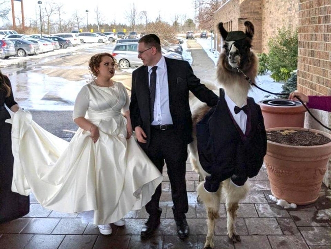 Cô dâu trưng bộ mặt khó chịu ngay trong bức hình duy nhất chụp chung với anh trai trong ngày cưới vì &quot;khách mời&quot; đặc biệt kế bên - Ảnh 2.