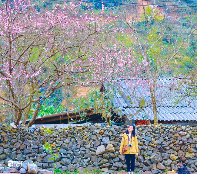 Hà Giang tháng 3 đẹp mê hồn trong mắt cô gái trẻ xứ Thanh, thật khó tin khi 4 loài hoa núi rừng đủ sắc màu cùng nở một lúc - Ảnh 1.