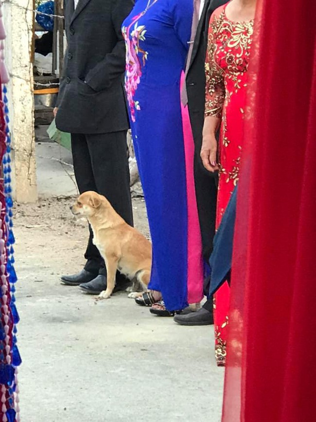 Không muốn "sen" đi lấy chồng, "boss" quyết bám đuôi tới tận lúc nhận lễ ăn hỏi và thảm cảnh khiến ai cũng phì cười - Ảnh 5. Không muốn "sen" đi lấy chồng, "boss" quyết bám đuôi tới tận lúc nhận lễ ăn hỏi và thảm cảnh khiến ai cũng phì cười - Ảnh 5.