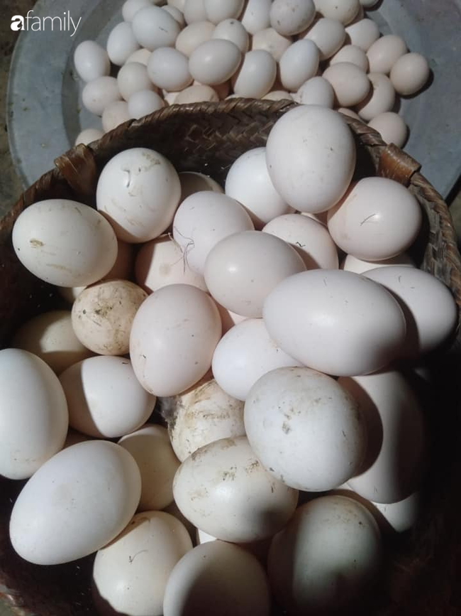Người bán trứng lâu năm tiết lộ 7 mẹo giúp bà nội trợ Việt chọn chuẩn trứng gà ta, không bao giờ nhầm lẫn với trứng gà công nghiệp - Ảnh 1.