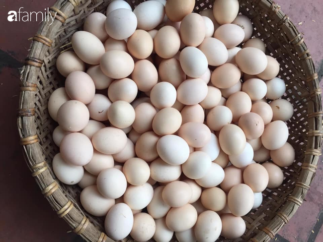 Người bán trứng lâu năm tiết lộ 7 mẹo giúp bà nội trợ Việt chọn chuẩn trứng gà ta, không bao giờ nhầm lẫn với trứng gà công nghiệp - Ảnh 2.
