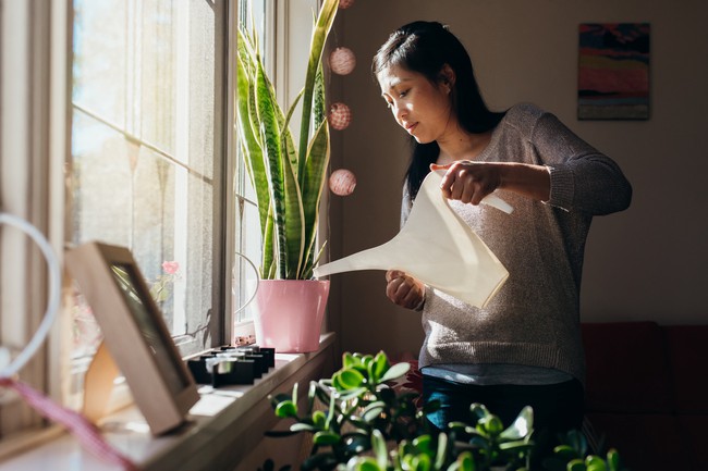 Với tuyên bố &quot;gia đình tôi hạnh phúc hơn nhờ Covid-19&quot;, nữ nhà văn khiến hội chị em công sở giật mình thức tỉnh - Ảnh 8.