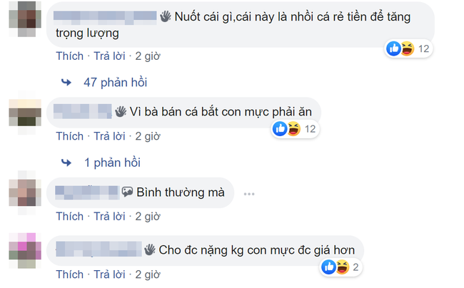 Thắc mắc việc mực nhỏ nuốt được cá lớn, anh chàng chưng hửng khi được &quot;khai sáng&quot; và màn tranh cãi không hồi kết của dân mạng - Ảnh 2.