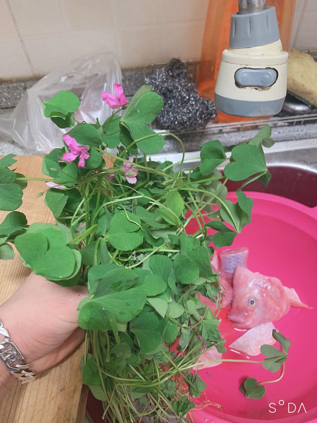Không chỉ ở Nhật, chàng trai sống bên Hàn cũng bị hiểu lầm "hái cỏ ăn" nhưng sự thật loại rau này có giá bán rất đắt trong siêu thị - Ảnh 3. Không chỉ ở Nhật, chàng trai sống bên Hàn cũng bị hiểu lầm "hái cỏ ăn" nhưng sự thật loại rau này có giá bán rất đắt trong siêu thị - Ảnh 3.