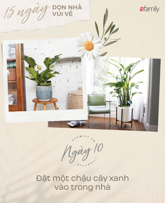 Thử thách nhà cửa mùa dịch - Ảnh 10.