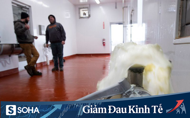 Covid-19: Thị trường thực phẩm Mỹ đóng băng, nông dân tự tay đổ đi hàng chục nghìn lít sữa bò - Ảnh 1. Covid-19: Thị trường thực phẩm Mỹ đóng băng, nông dân tự tay đổ đi hàng chục nghìn lít sữa bò - Ảnh 1.