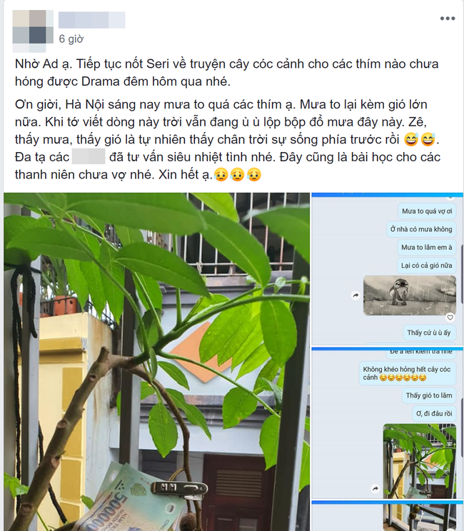 Trót ăn 1 trái cóc cảnh của vợ, ông chồng khổ sở tìm cách thoát tội nhưng chuộc lỗi đỉnh cao thế này thì trường sinh bất lão được rồi - Ảnh 3. Trót ăn 1 trái cóc cảnh của vợ, ông chồng khổ sở tìm cách thoát tội nhưng chuộc lỗi đỉnh cao thế này thì trường sinh bất lão được rồi - Ảnh 3.