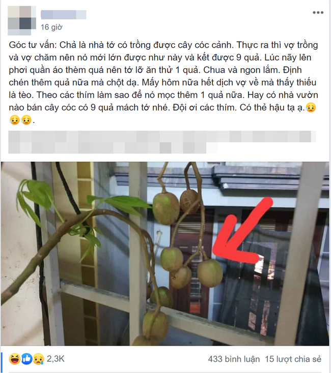 Trót ăn 1 trái cóc cảnh của vợ, ông chồng khổ sở tìm cách thoát tội nhưng chuộc lỗi đỉnh cao thế này thì trường sinh bất lão được rồi - Ảnh 1. Trót ăn 1 trái cóc cảnh của vợ, ông chồng khổ sở tìm cách thoát tội nhưng chuộc lỗi đỉnh cao thế này thì trường sinh bất lão được rồi - Ảnh 1.