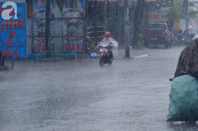 Người Sài Gòn vui mừng đón &quot;cơn mưa vàng&quot; đổ xuống bất ngờ làm dịu mát đường phố sau bao ngày oi bức - Ảnh 7.