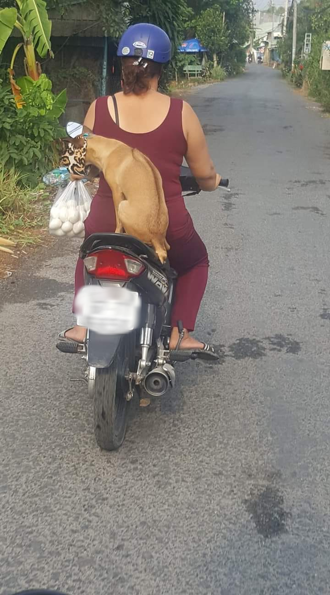 Cùng sen đi chợ, đại boss gây sốt khi thể hiện kỹ năng khéo léo đáng kinh ngạc: một mình giữ vẹn nguyên túi trứng, tư thế vẫn vững vàng như một vị thần! - Ảnh 1.