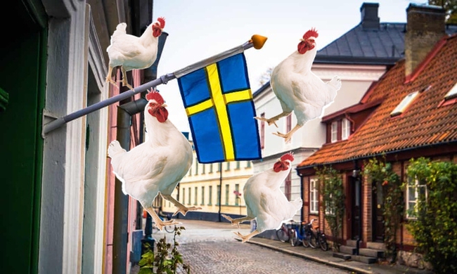 Thành phố Thụy Điển đổ 1 tấn phân gà ra công viên để dân đỡ tụ vạ - Ảnh 1.