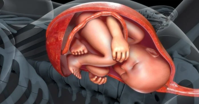 Các vị trí của thai nhi ngôi chỏm khi chuyển dạ - Kiểu ngôi thai phổ biến nhất trong số các ca sinh - Ảnh 1.