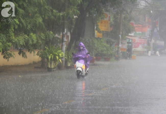Sau cơn mưa lớn lúc sáng sớm, người Sài Gòn lại “méo mặt” vì trời nắng nóng gay gắt - Ảnh 1.