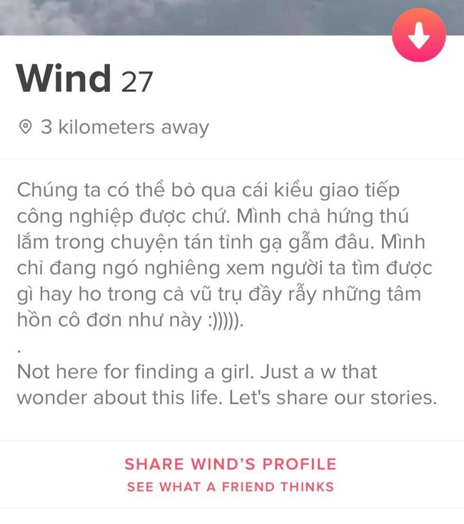 Quả không hổ danh ứng dụng hẹn hò hot nhất thị trường, Tinder có những tài khoản chỉ cần nhìn bio thôi cũng thấy “đứng hình” vì thú vị - Ảnh 12.