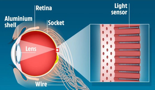 Hồng Kông: Chế tạo “siêu nhãn cầu” chứa gấp 46 lần tế bào mắt thường giúp con người nhìn xuyên bóng tối - Ảnh 1.