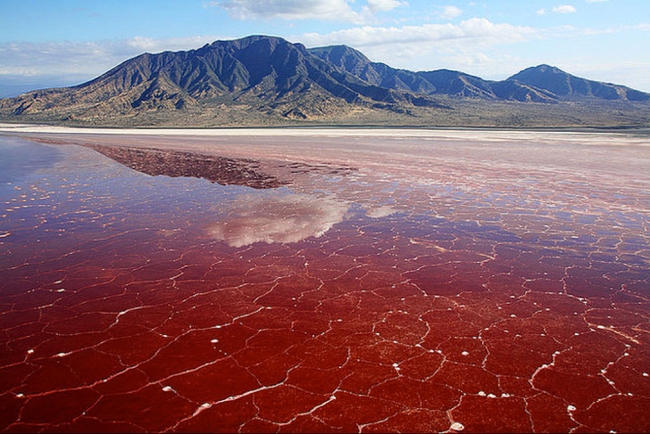 Hồ nước đỏ như máu tưởng đẹp nhưng lại là &quot;mồ chôn tập thể&quot; có thể biến loạt sinh vật biến thành tượng đá - Ảnh 1.