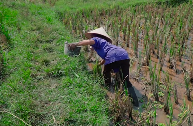 Bà Tân Vlog từ một kênh nổi tiếng với những món &quot;siêu to khổng lồ&quot;, trở thành nơi hứng &quot;gạch đá&quot; đủ để... xây nhà - Ảnh 3.