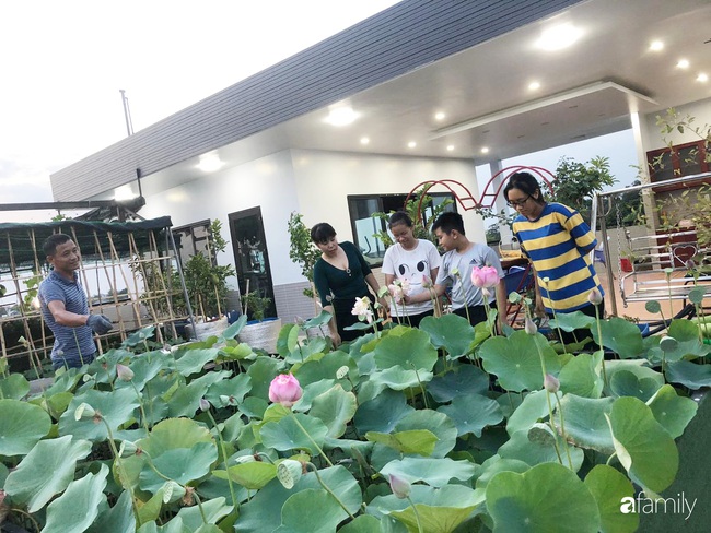 Doanh nhân Sài Gòn trồng cả vườn rau và hoa như trang trại rộng 300m² trên sân thượng cho vợ cùng 4 con được sống gần gũi với thiên nhiên - Ảnh 2.