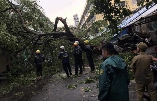 TP.HCM: Sau cơn mưa lớn kèm gió giật, nhiều cây xanh lại gãy đổ đè nhà dân, đè cả người đi đường - Ảnh 1.