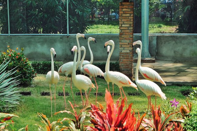 Gợi ý loạt địa điểm vui chơi cho bé ngày 1/6 ở TP.HCM vừa đa dạng hoạt động lại có giảm giá sâu tới 50% - Ảnh 10. Gợi ý loạt địa điểm vui chơi cho bé ngày 1/6 ở TP.HCM vừa đa dạng hoạt động lại có giảm giá sâu tới 50% - Ảnh 10.