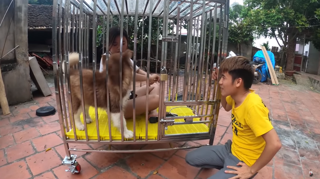 Con trai Bà Tân Vlog gây tranh cãi dữ dội khi nhốt em gái vào chuồng chó để trả thù - Ảnh 1.