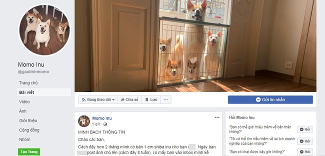 Bán chó cho một người nổi tiếng, chủ nhân của Fanpage trăm nghìn like bỗng dưng bị cả cộng đồng mạng săn lùng, phỉ báng thậm tệ - Ảnh 1. Bán chó cho một người nổi tiếng, chủ nhân của Fanpage trăm nghìn like bỗng dưng bị cả cộng đồng mạng săn lùng, phỉ báng thậm tệ - Ảnh 1.