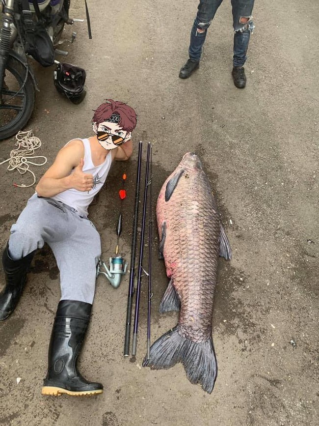 Anh chàng câu được con cá 50kg ở Nhật Bản, dân mạng liền gợi ý gửi về một nơi ở Việt Nam để có món ăn ngon - Ảnh 1.
