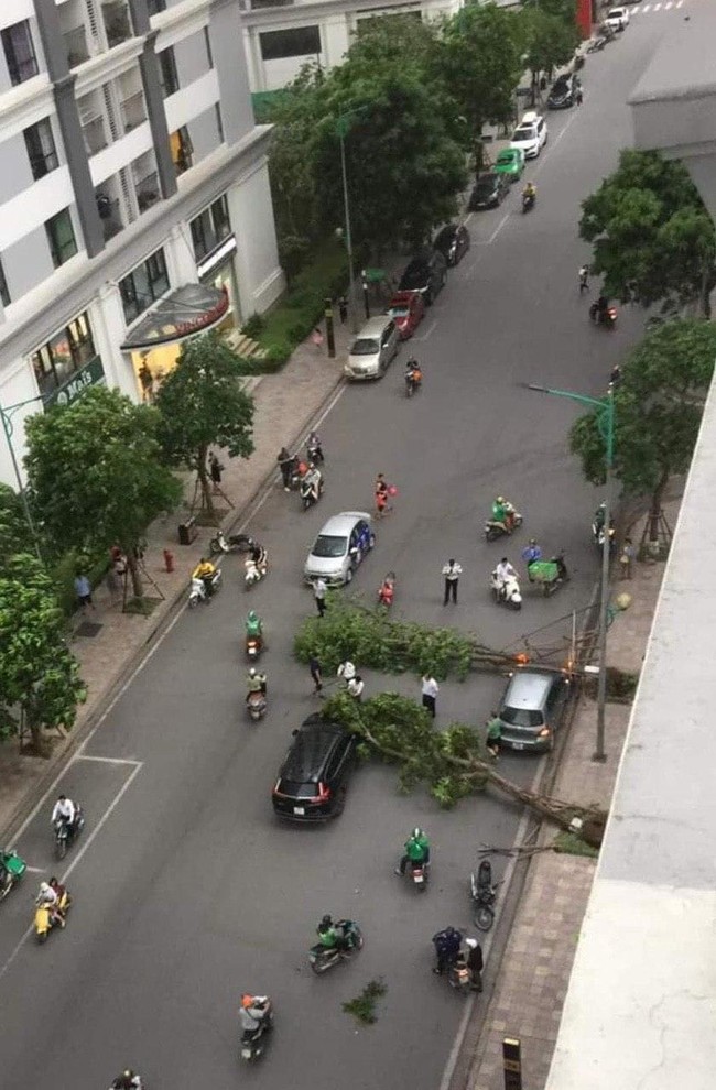 Hà Nội: Cây xanh bật gốc đè trúng ô tô đang chạy trên đường giữa cơn mưa giông bất chợt - Ảnh 4.
