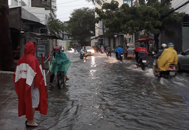 Mưa kèm gió mạnh, cây phượng lớn lại bật gốc đè xuống cổng trường mầm non ở TP.HCM khiến nhiều người hoảng hồn - Ảnh 7.