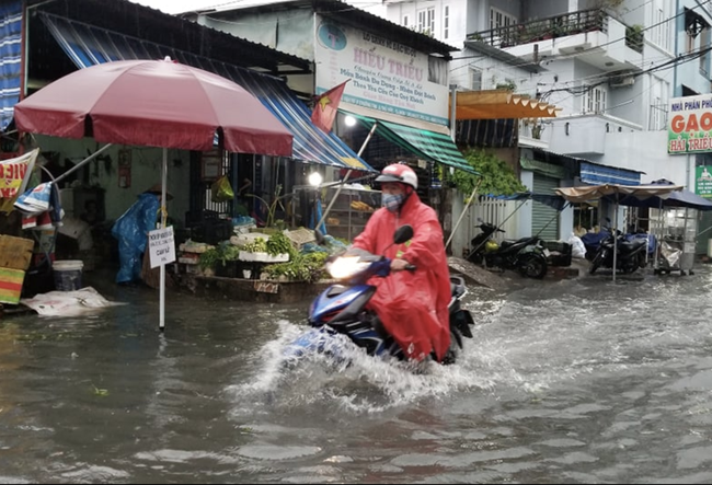 Mưa kèm gió mạnh, cây phượng lớn lại bật gốc đè xuống cổng trường mầm non ở TP.HCM khiến nhiều người hoảng hồn - Ảnh 9.