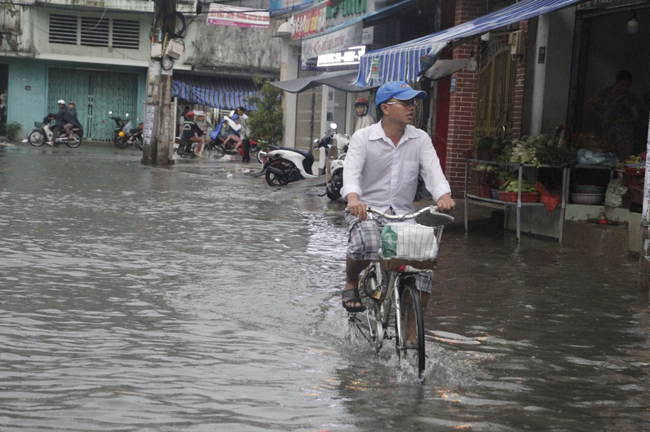 Mưa kèm gió mạnh, cây phượng lớn lại bật gốc đè xuống cổng trường mầm non ở TP.HCM khiến nhiều người hoảng hồn - Ảnh 10.