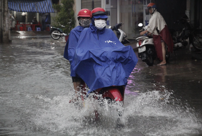 Mưa kèm gió mạnh, cây phượng lớn lại bật gốc đè xuống cổng trường mầm non ở TP.HCM khiến nhiều người hoảng hồn - Ảnh 11.