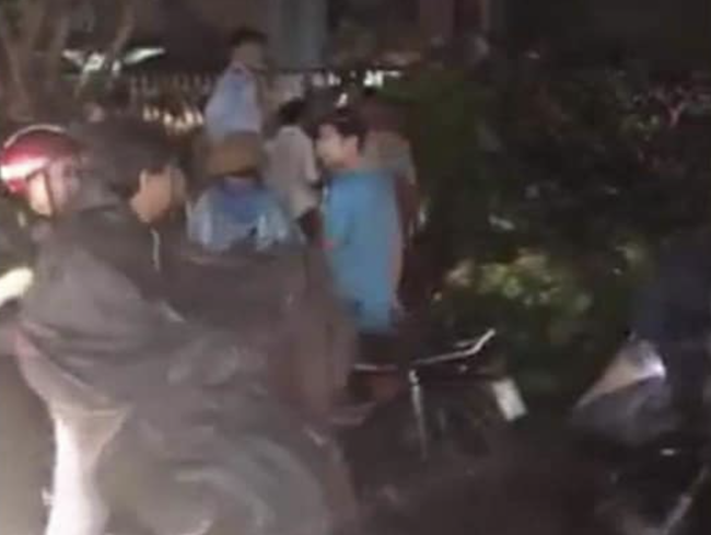 TP.HCM: Cây ngã trong đêm mưa đè 1 người đi bộ trên đường Tô Hiến Thành chết tại chỗ - Ảnh 2.