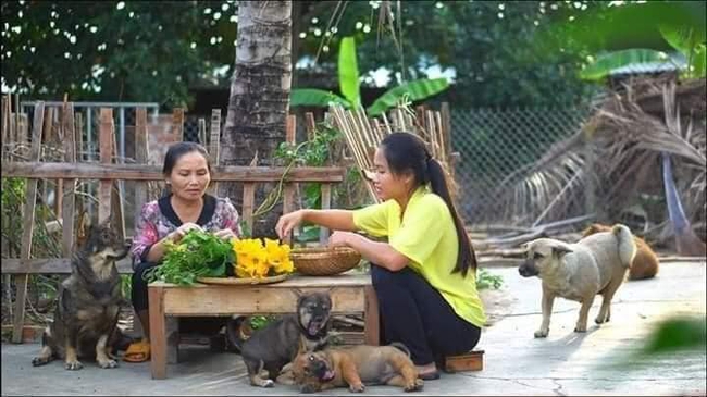 Bức ảnh quê yên bình cho đến lúc mọi người soi hành động của hai chú cún nhỏ, &quot;hổ báo trường mẫu giáo&quot; là đây! - Ảnh 1.