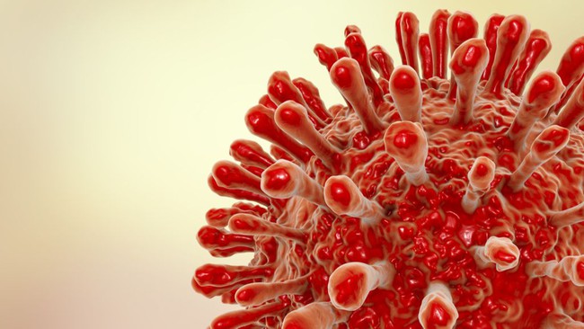 HIV có thể ẩn náu trong các tế bào não, sẵn sàng lây nhiễm các cơ quan khác - Ảnh 1.