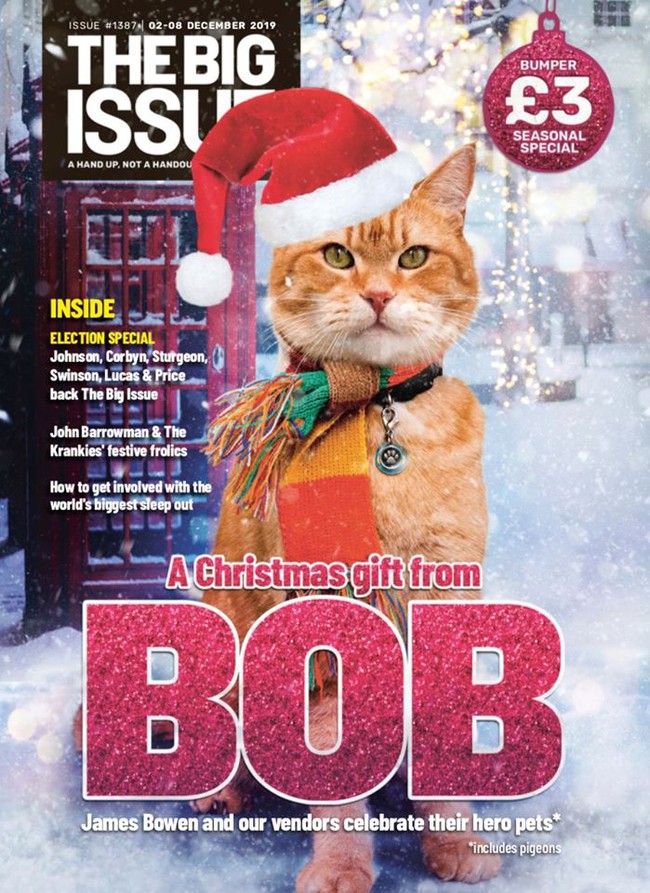 Khán giả khắp thế giới tiếc thương Bob - chú mèo đường phố nổi tiếng từng lên sách và phim, được gặp gỡ cả công nương Kate Middleton đã qua đời ở tuổi 14 - Ảnh 3.
