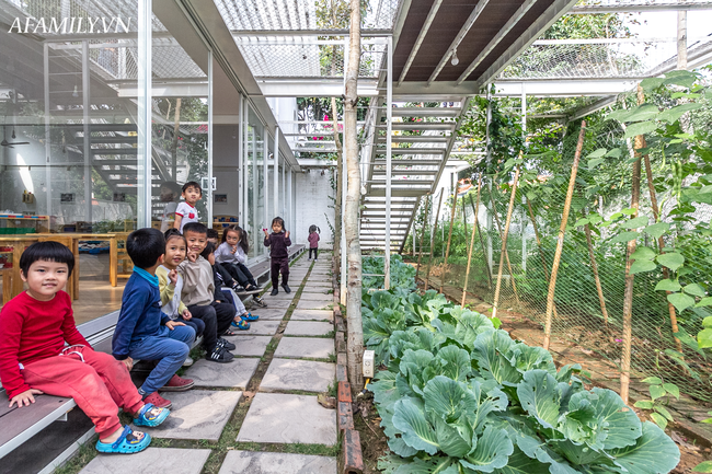 Mê đắm ngôi trường mầm non độc lạ ở Hạ Long: Học sinh chạy nhảy sờ ngắm các loại cây, đi học mà như đi khu du lịch sinh thái - Ảnh 25.