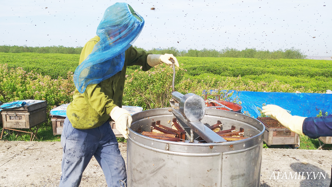 Thu nhập khủng nhờ nuôi ong lấy mật từ loài hoa tự nhiên không ai ngờ tới ở Ninh Bình - Ảnh 8.