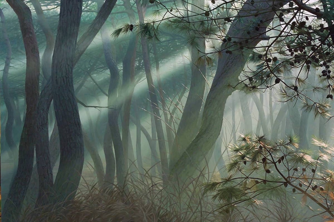 Hình ảnh cánh rừng xanh ngát xanh đem lại cảm giác yên bình khó tả nhưng ẩn chứa đằng sau đó là sự thật khiến ai cũng phải &quot;nổi da gà&quot; - Ảnh 6.