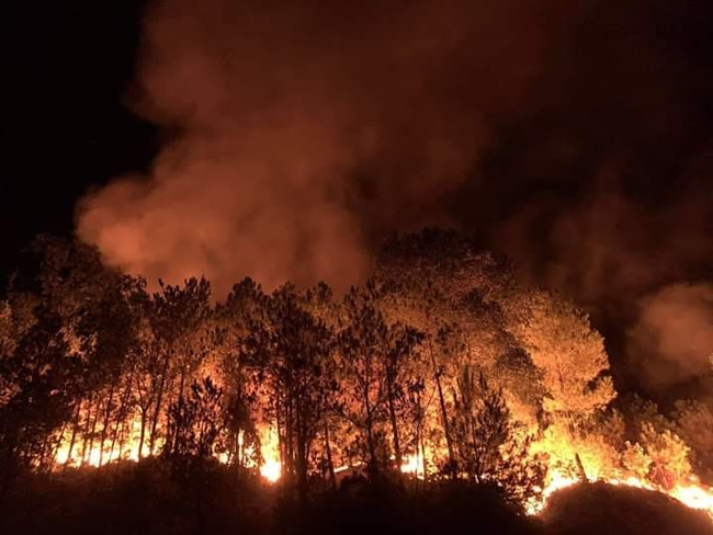 Cháy rừng liên tiếp nhiều ngày gần khu dân cư, hàng nghìn người Nghệ An trắng đêm dập lửa đến kiệt sức - Ảnh 1.