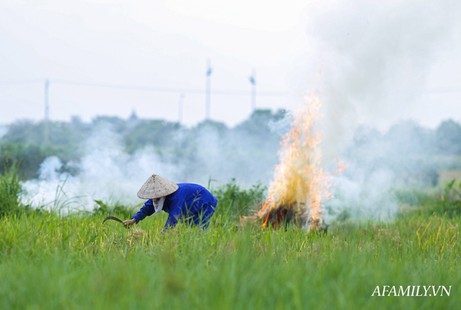 Ảnh: Khói rơm rạ mịt mù bao phủ cửa ngõ Thủ đô - Ảnh 13.