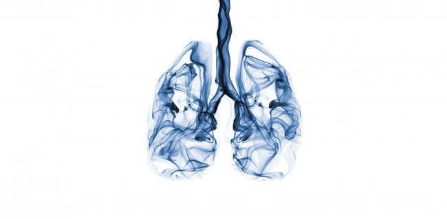 Khi môi trường luôn ô nhiễm và bệnh COVID-19 vẫn &quot;rình rập&quot;, hãy nhớ 3 việc cần tránh xa và 9 việc cần làm để phổi luôn khỏe mạnh - Ảnh 3.