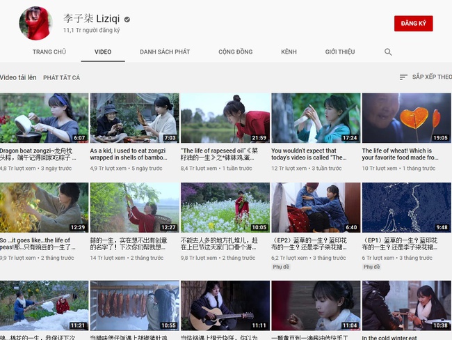 YouTuber nổi tiếng Việt Nam bị cư dân mạng Trung Quốc tố ăn cắp ý tưởng của vlogger đình đám Lý Tử Thất - Ảnh 3.