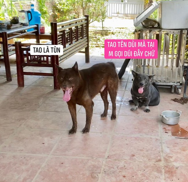 Sau nửa năm nổi đình đám khắp thế giới, &quot;idol mắt lé&quot; Nguyễn Văn Dúi đã lột xác hoàn toàn, ngày càng lầy lội và lùn tịt hơn xưa - Ảnh 8.