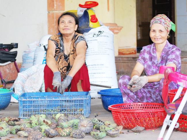 Cách Hà Nội chừng 50 cây số, có một ngôi làng người người bỏ nghề công nhân về quê kiếm tiền triệu nhờ loài hoa đặc trưng này - Ảnh 8.