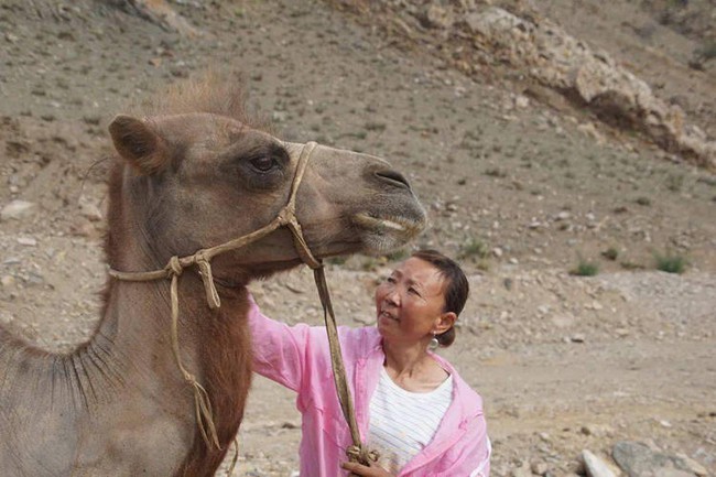 Sau khi bị đem bán cho người khác, lạc đà quá nhớ nhà đã đi bộ 100km băng qua sa mạc để trở về với chủ cũ - Ảnh 1.