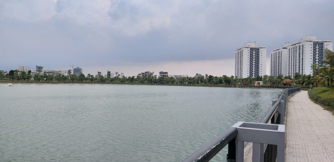 Hà Nội: Kinh hãi mùi hôi của cá chết nổi trên hồ giữa đô thị - Ảnh 9.